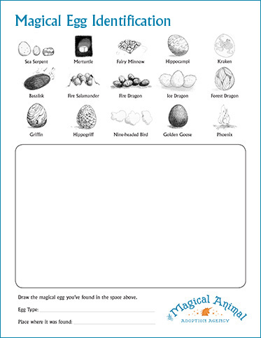Egg indentification sheet
