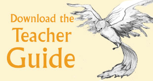 Download the Teacher guide